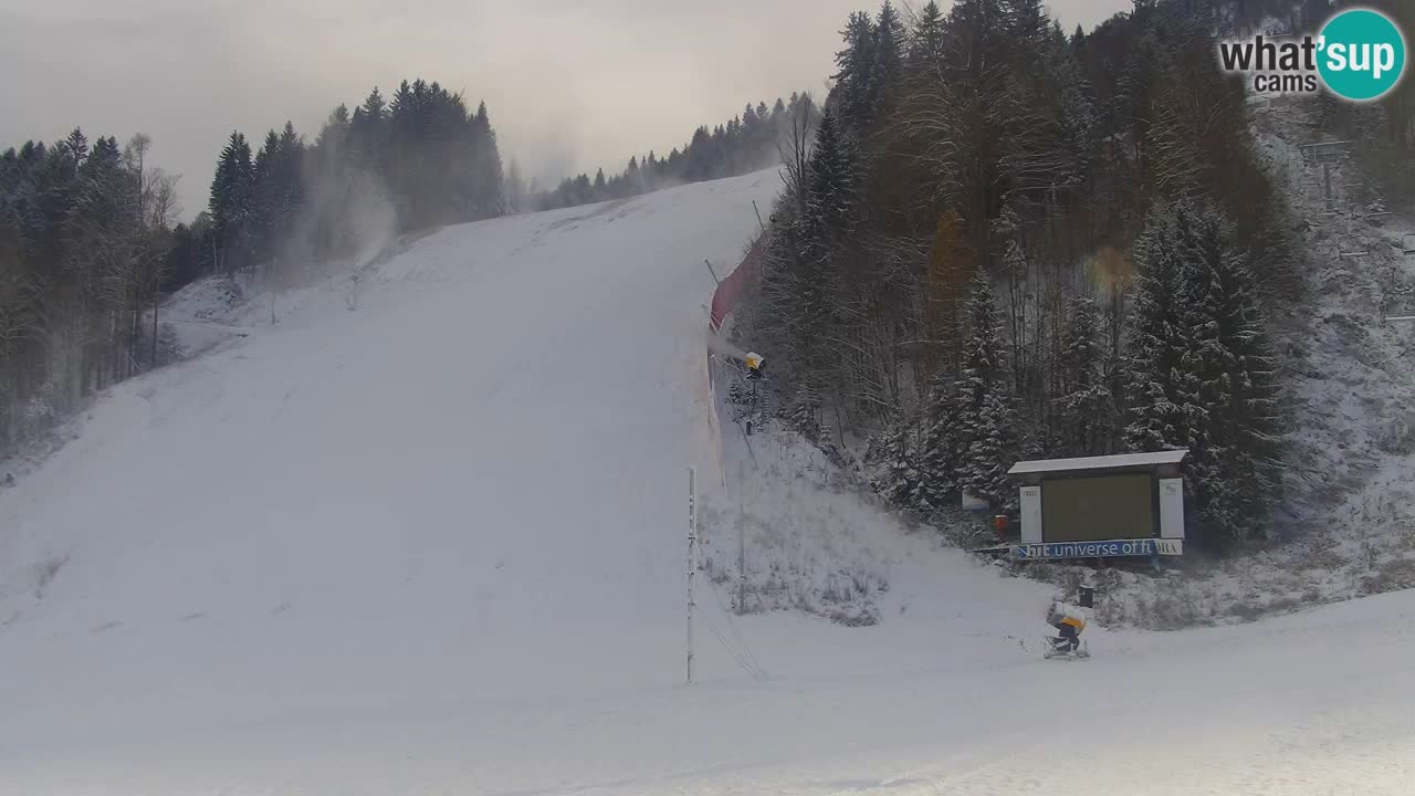 PODKOREN Kamera | Smučišče Podkoren – Kranjska Gora v ŽIVO