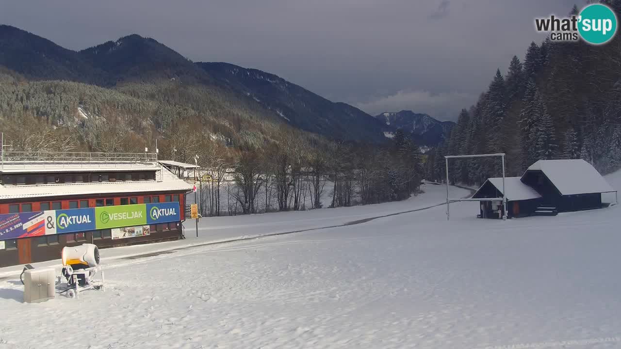 Podkoren / Kranjska Gora – Arrivo slalom gigante