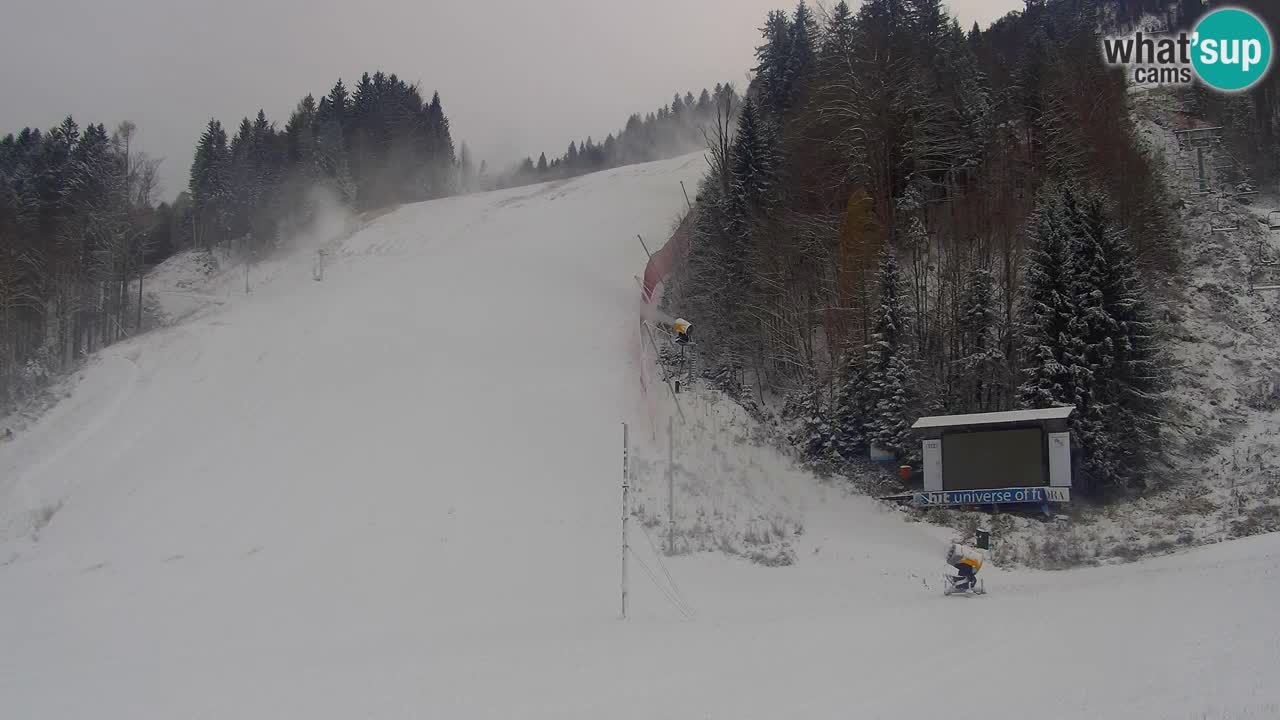 Podkoren / Kranjska Gora – Ziel Riesenslalom