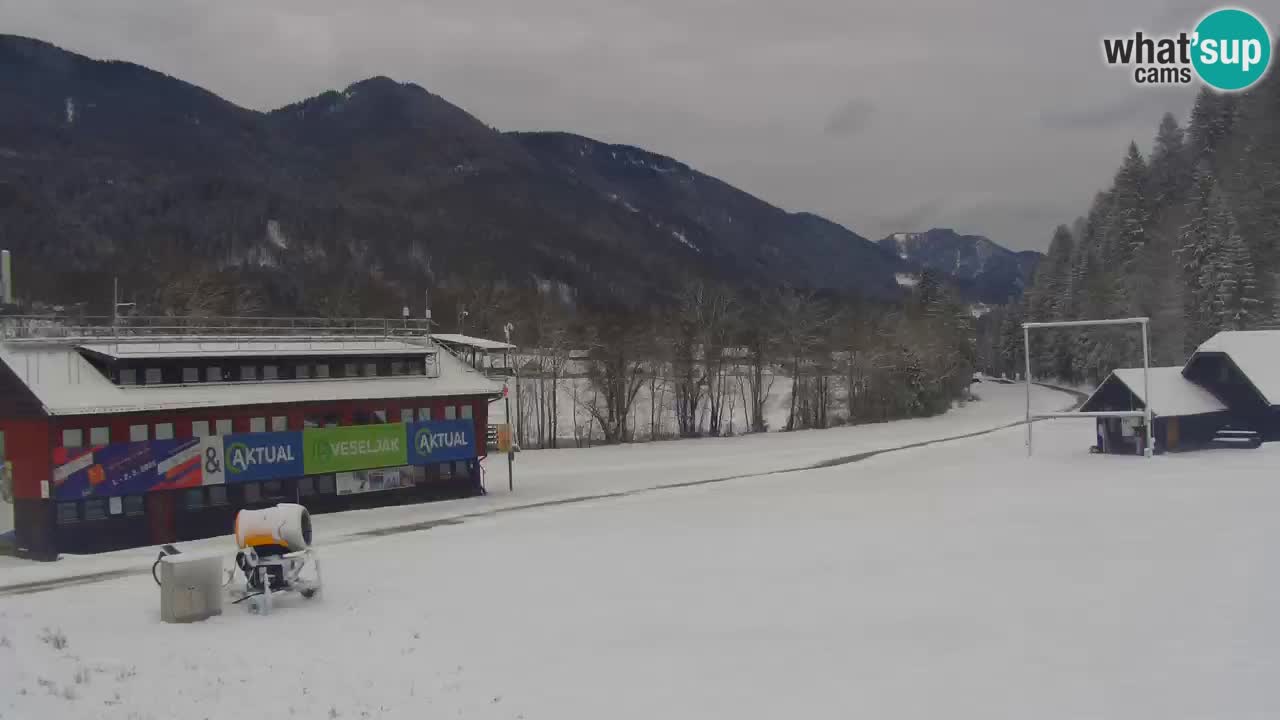 PODKOREN Kamera | Smučišče Podkoren – Kranjska Gora v ŽIVO