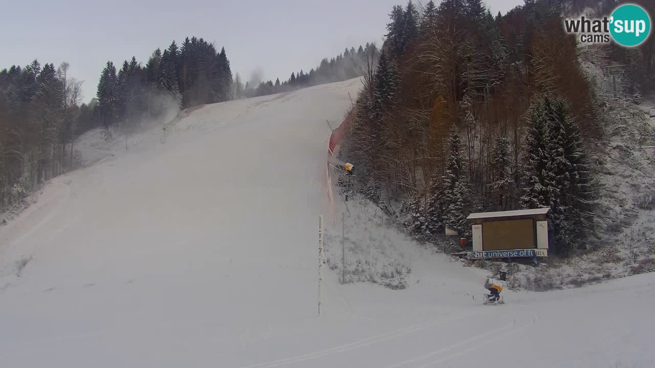 Podkoren / Kranjska Gora – Arrivo slalom gigante