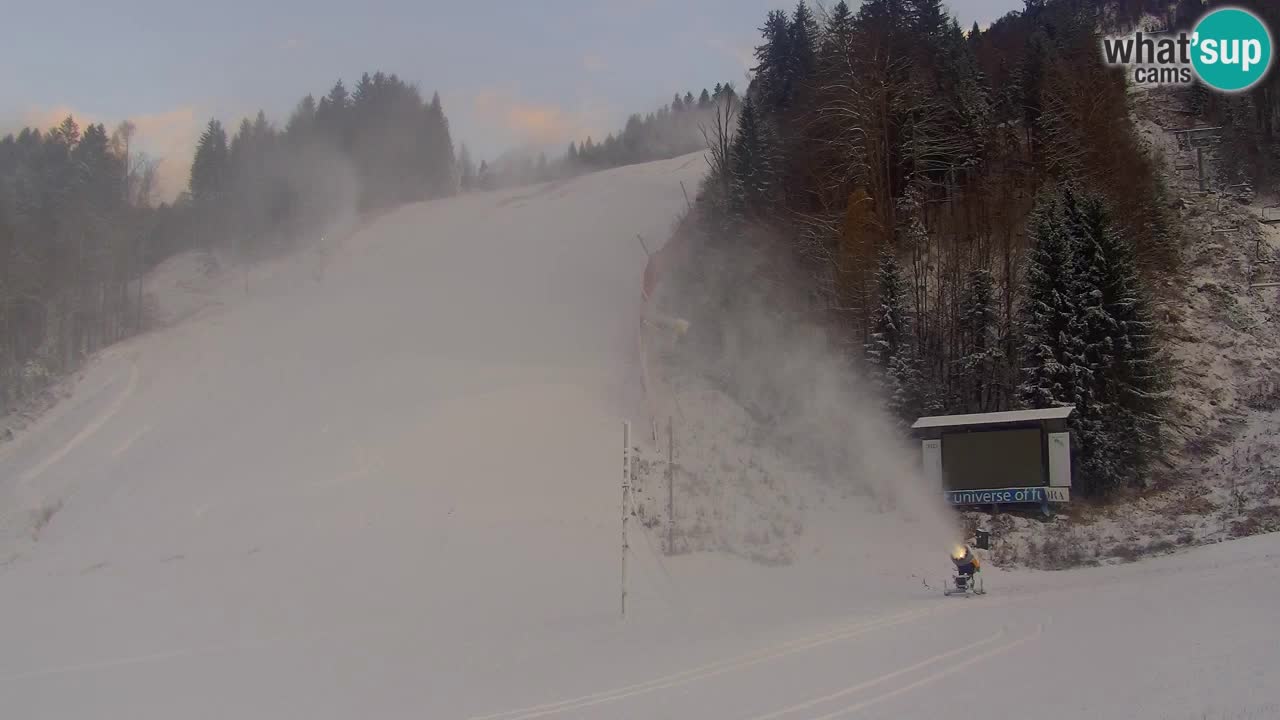 Podkoren / Kranjska Gora –  Meta Slalom gigante