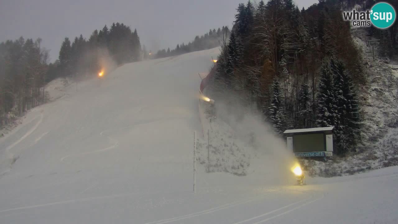 Podkoren / Kranjska Gora – Cilj veleslaloma svjetskog kupa