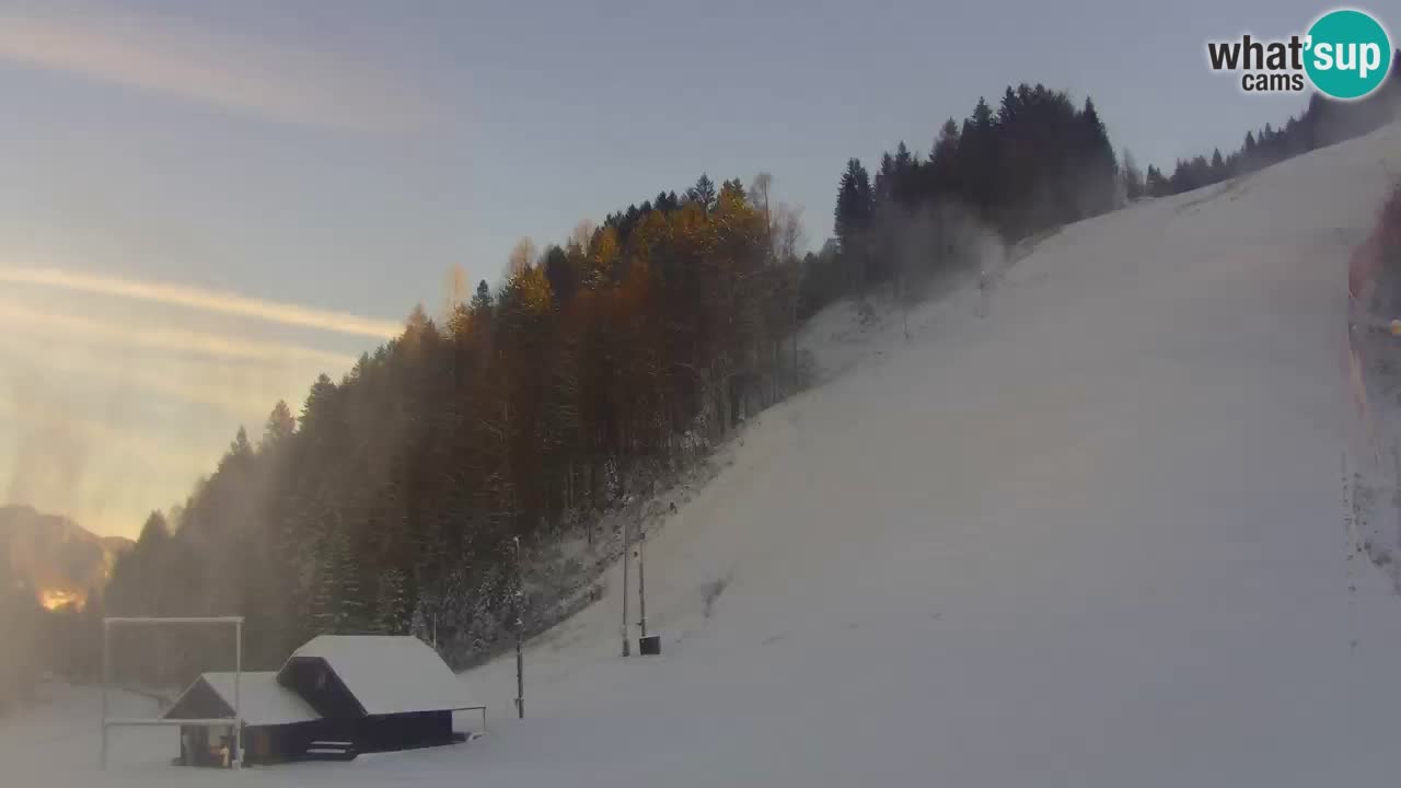 Podkoren / Kranjska Gora – Arrivo slalom gigante