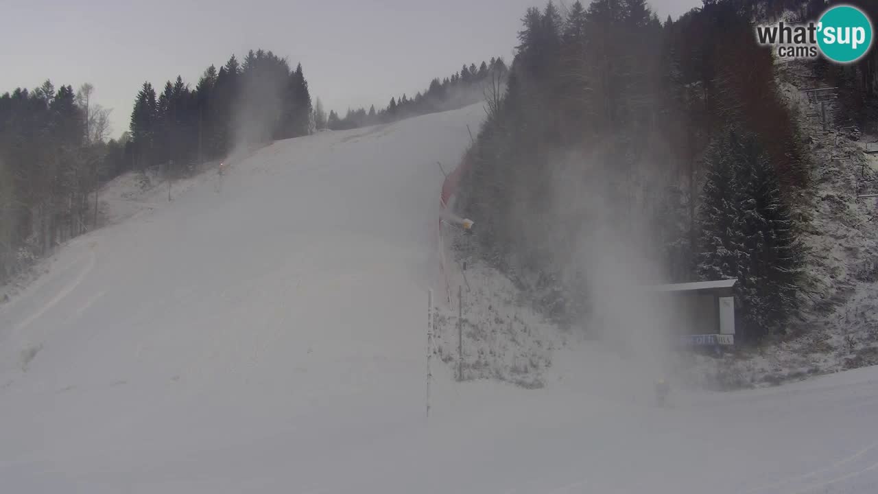 Podkoren / Kranjska Gora – Cilj veleslaloma svjetskog kupa