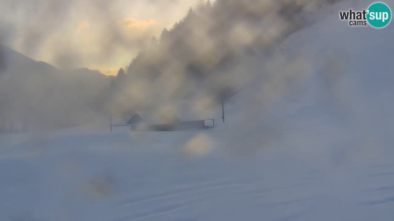 PODKOREN Kamera | Smučišče Podkoren – Kranjska Gora v ŽIVO