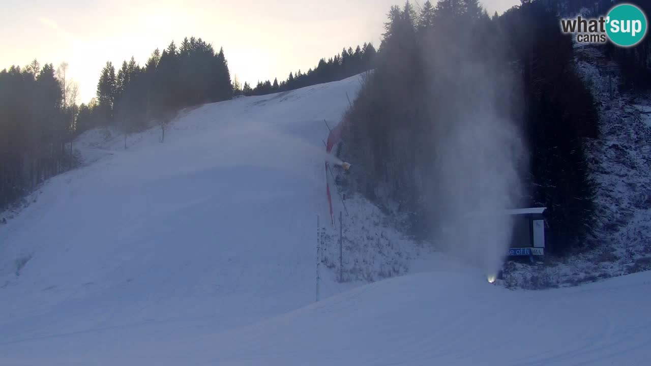 Podkoren / Kranjska Gora – Arrivo slalom gigante