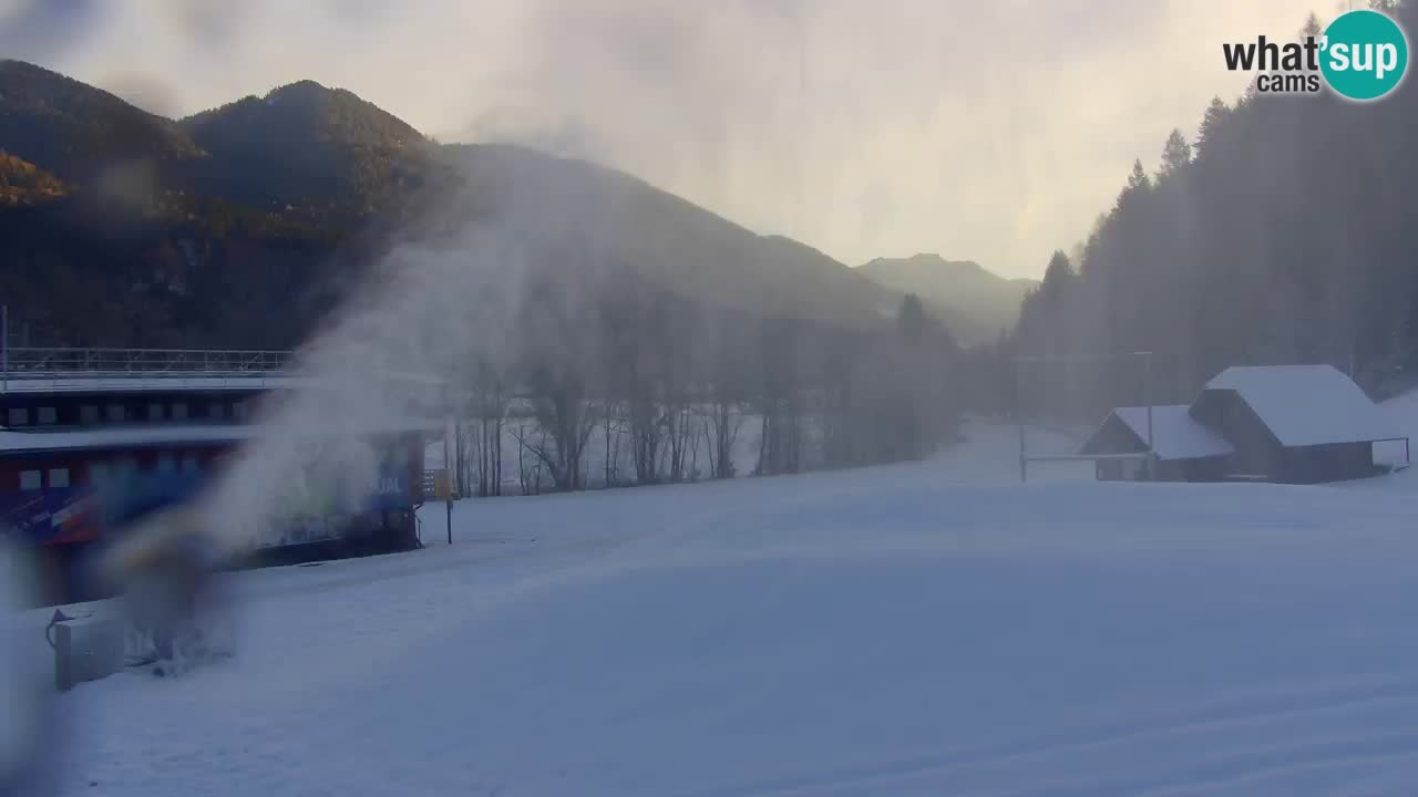 Podkoren / Kranjska Gora – Cilj veleslaloma svjetskog kupa