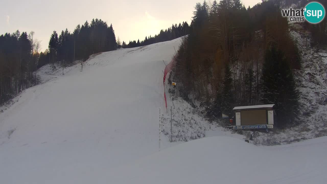 Podkoren / Kranjska Gora – Ziel Riesenslalom