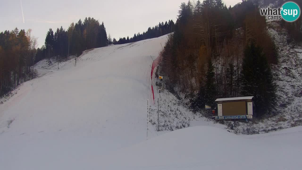 Podkoren / Kranjska Gora – Cilj veleslaloma svjetskog kupa