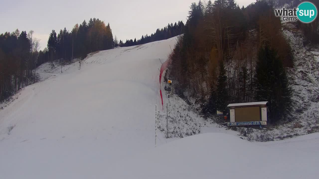 PODKOREN Kamera | Smučišče Podkoren – Kranjska Gora v ŽIVO