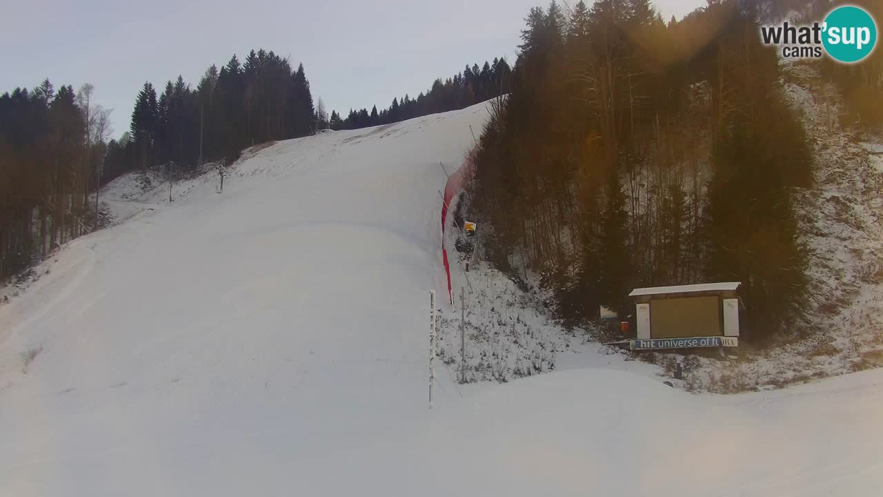 PODKOREN Kamera | Smučišče Podkoren – Kranjska Gora v ŽIVO