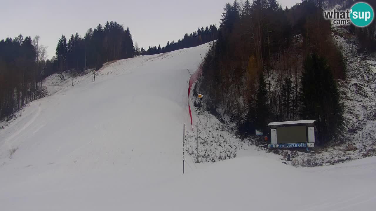 Podkoren / Kranjska Gora – Arrivo slalom gigante