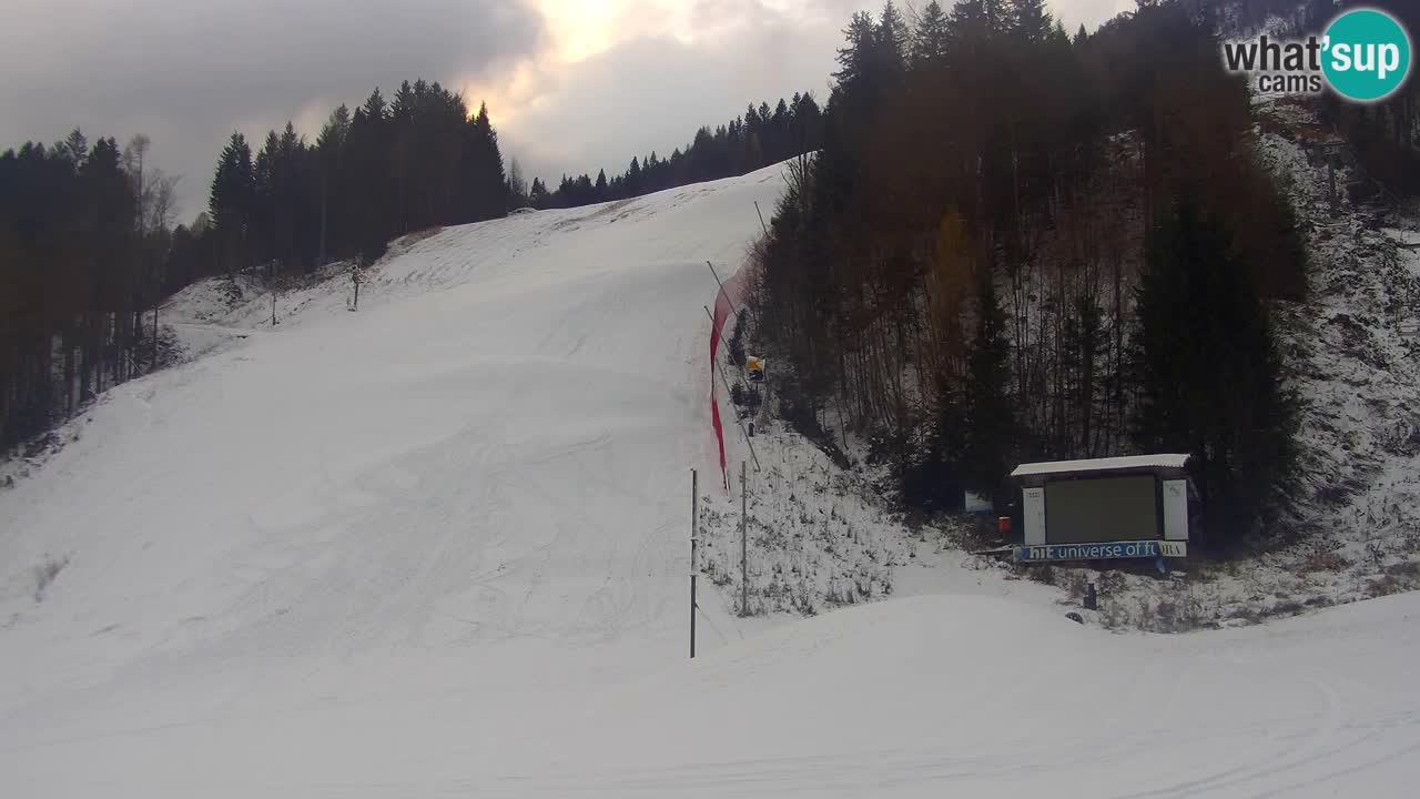 Podkoren / Kranjska Gora – Cilj veleslaloma svjetskog kupa