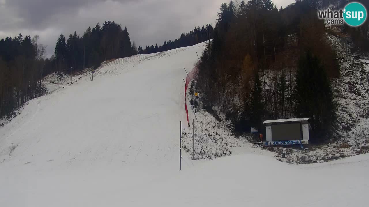 Podkoren / Kranjska Gora – Cilj veleslaloma svjetskog kupa