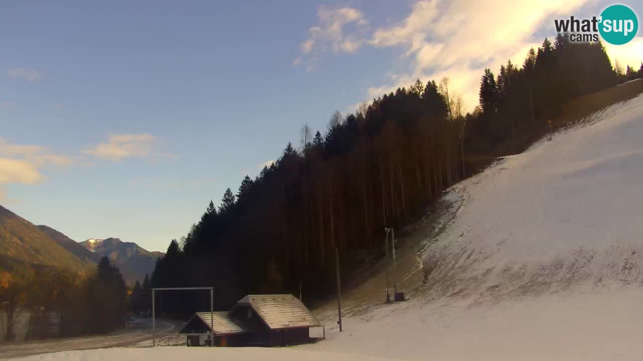 Podkoren / Kranjska Gora –  Meta Slalom gigante