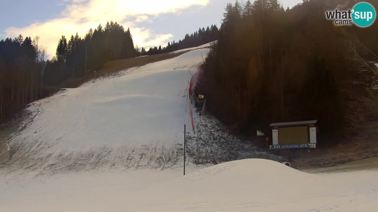 Podkoren / Kranjska Gora –  Meta Slalom gigante