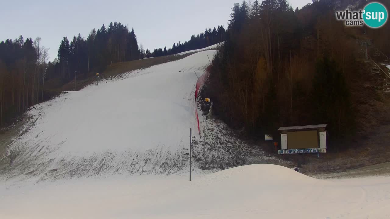 Podkoren / Kranjska Gora – Cilj veleslaloma svjetskog kupa