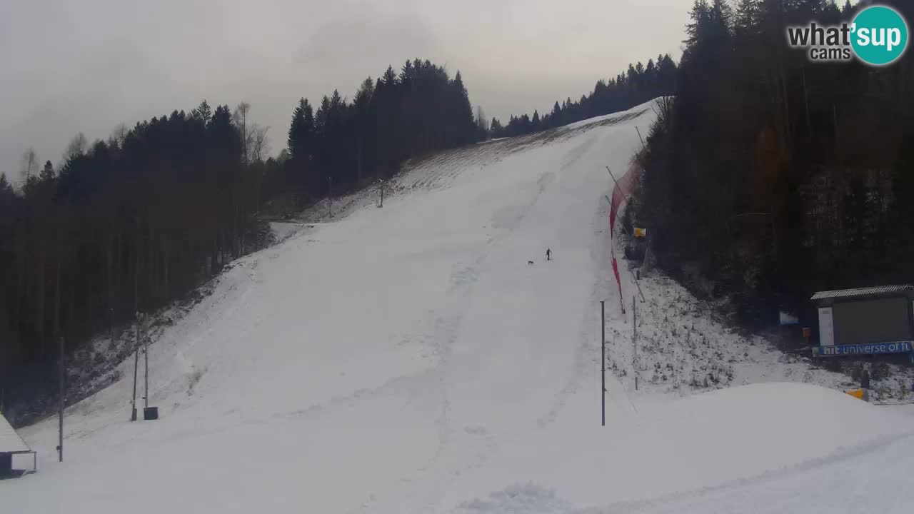 Podkoren / Kranjska Gora – Arrivo slalom gigante