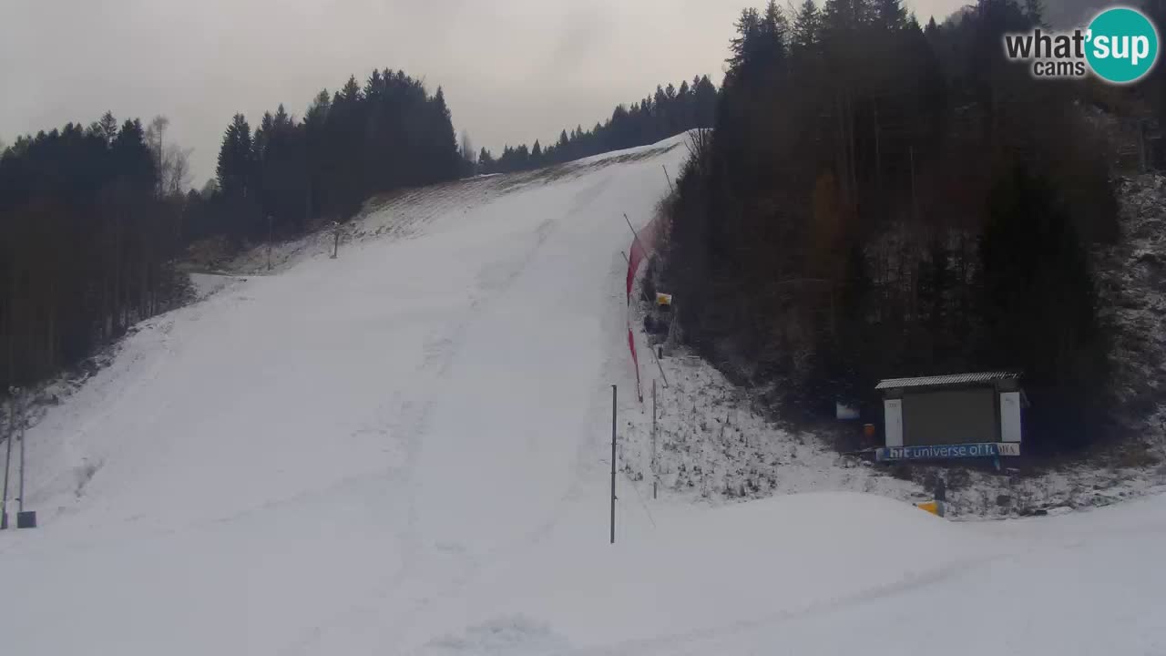 Podkoren / Kranjska Gora – Cilj veleslaloma svjetskog kupa