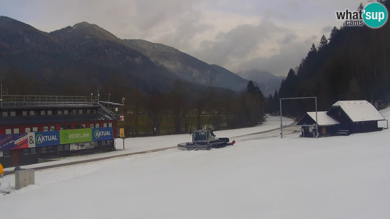 PODKOREN Kamera | Smučišče Podkoren – Kranjska Gora v ŽIVO