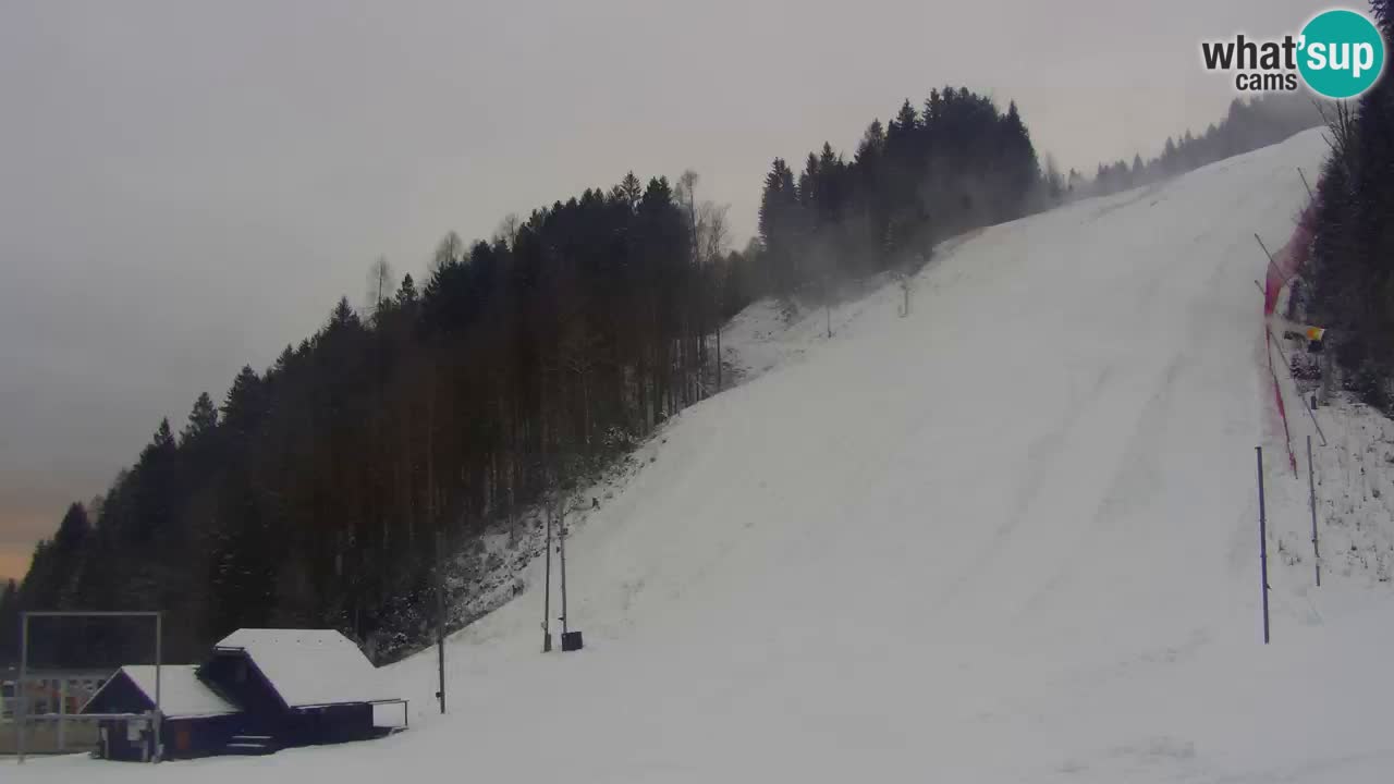 Podkoren / Kranjska Gora – Arrivo slalom gigante