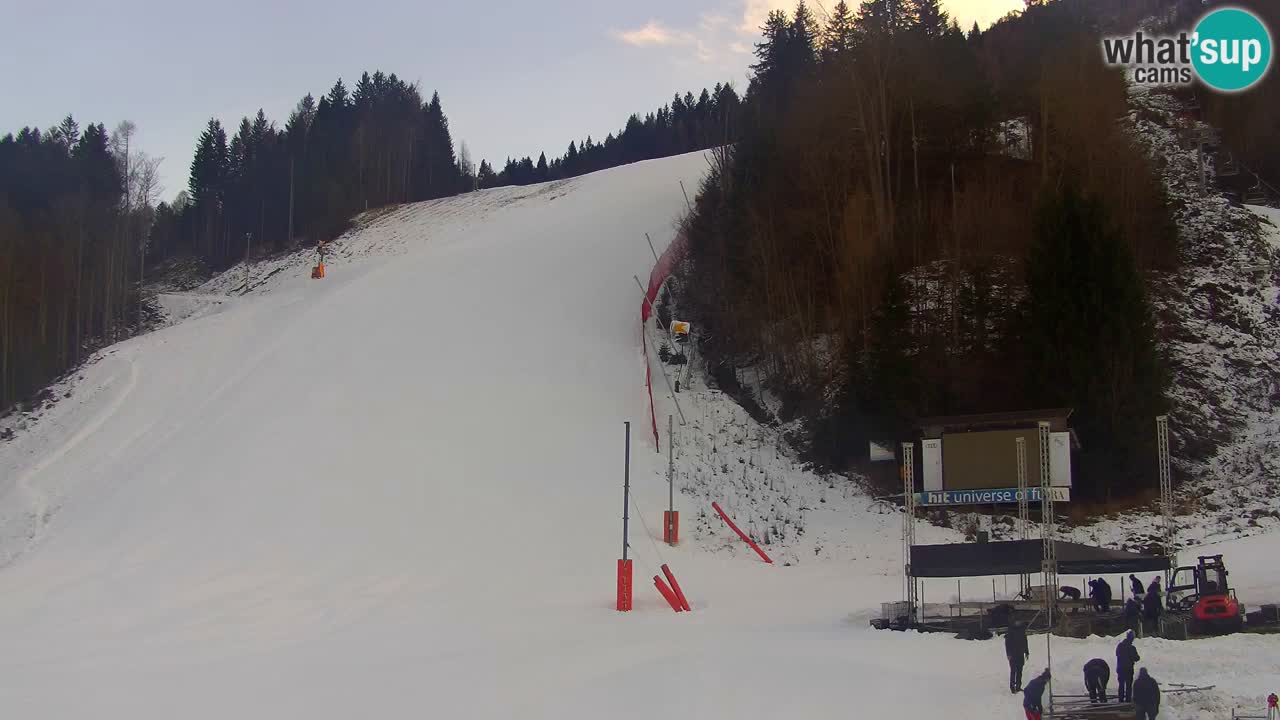 Podkoren / Kranjska Gora –  Meta Slalom gigante