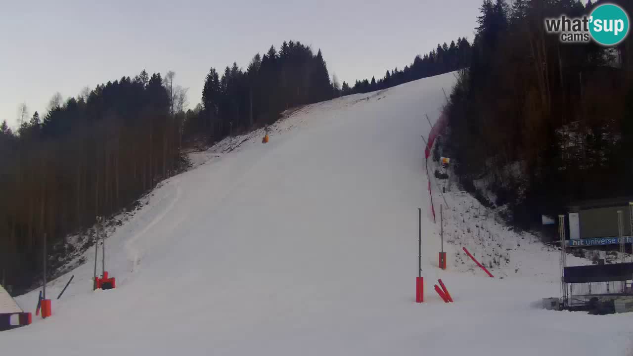 Podkoren / Kranjska Gora – Arrivo slalom gigante