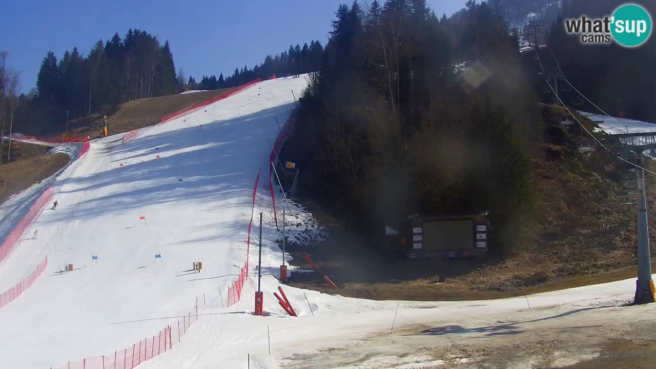 Podkoren / Kranjska Gora – Arrivo slalom gigante