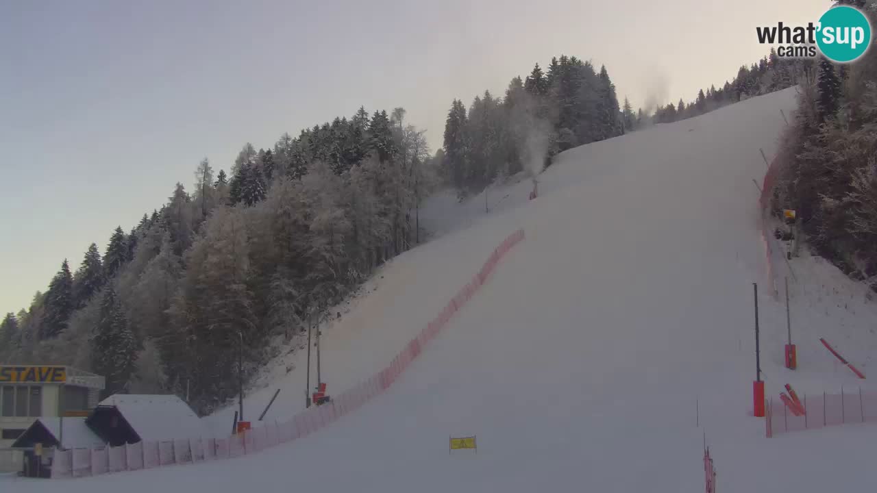 Podkoren / Kranjska Gora – Arrivo slalom gigante