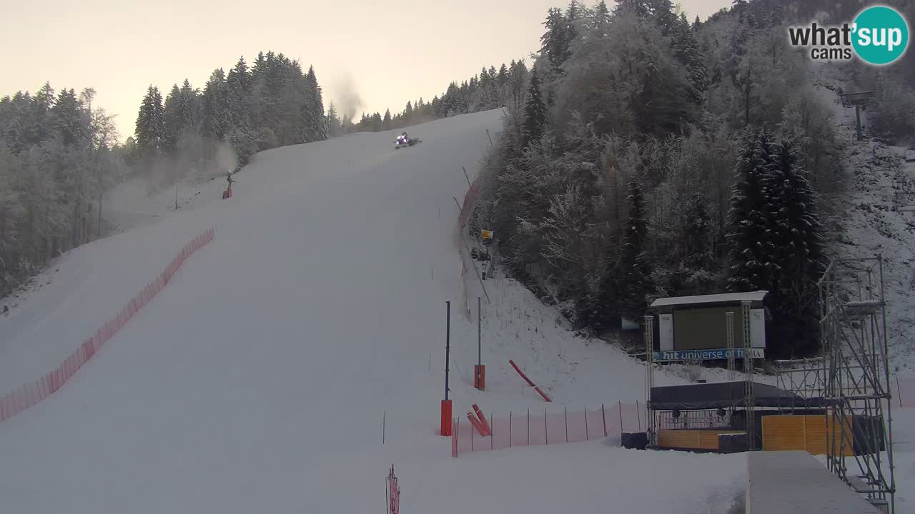 Podkoren / Kranjska Gora – Arrivo slalom gigante