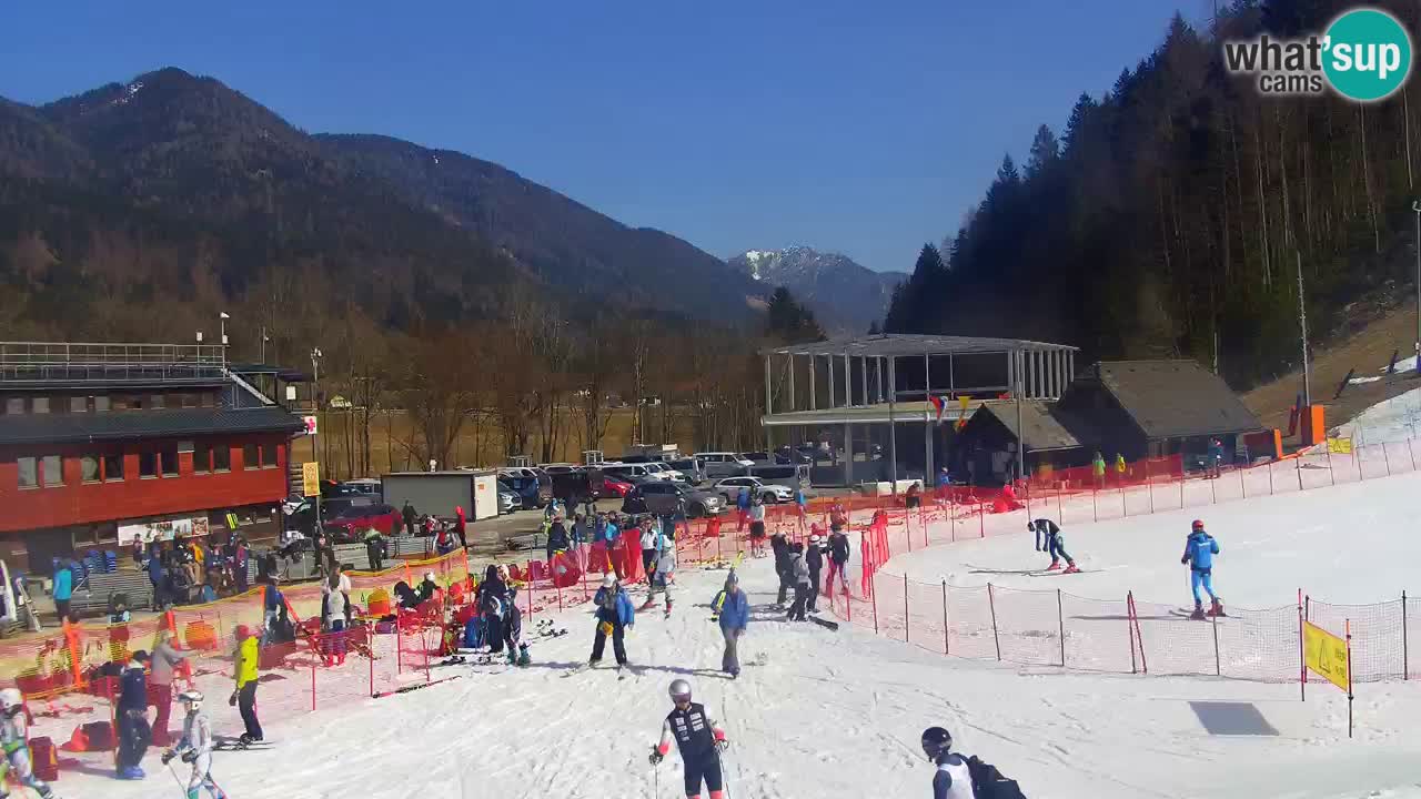 Podkoren / Kranjska Gora – Ziel Riesenslalom