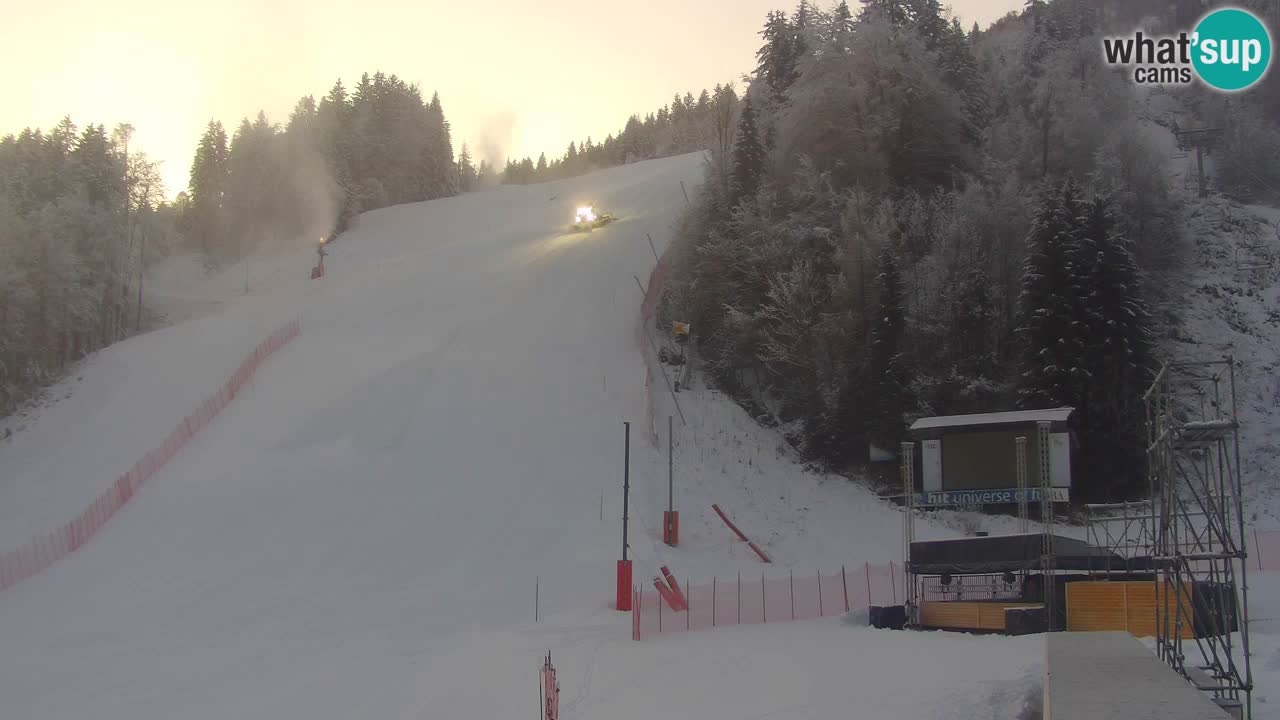 Podkoren – Kranjska Gora – Finish of Giant slalom