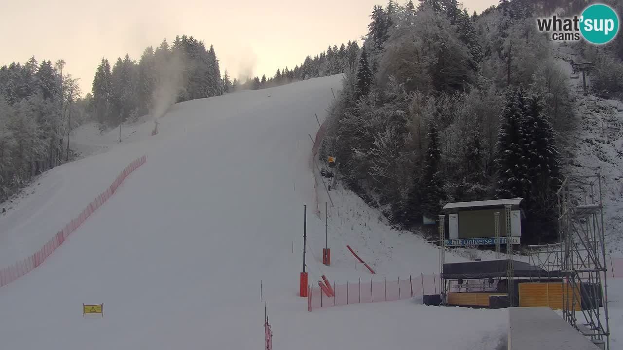 Podkoren – Kranjska Gora – Finish of Giant slalom