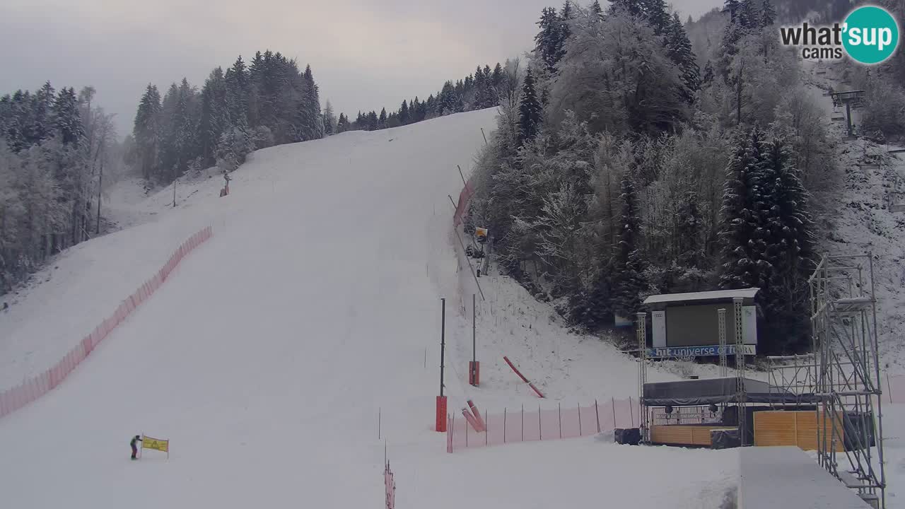 Podkoren slalom géant | Start – Kranjska Gora