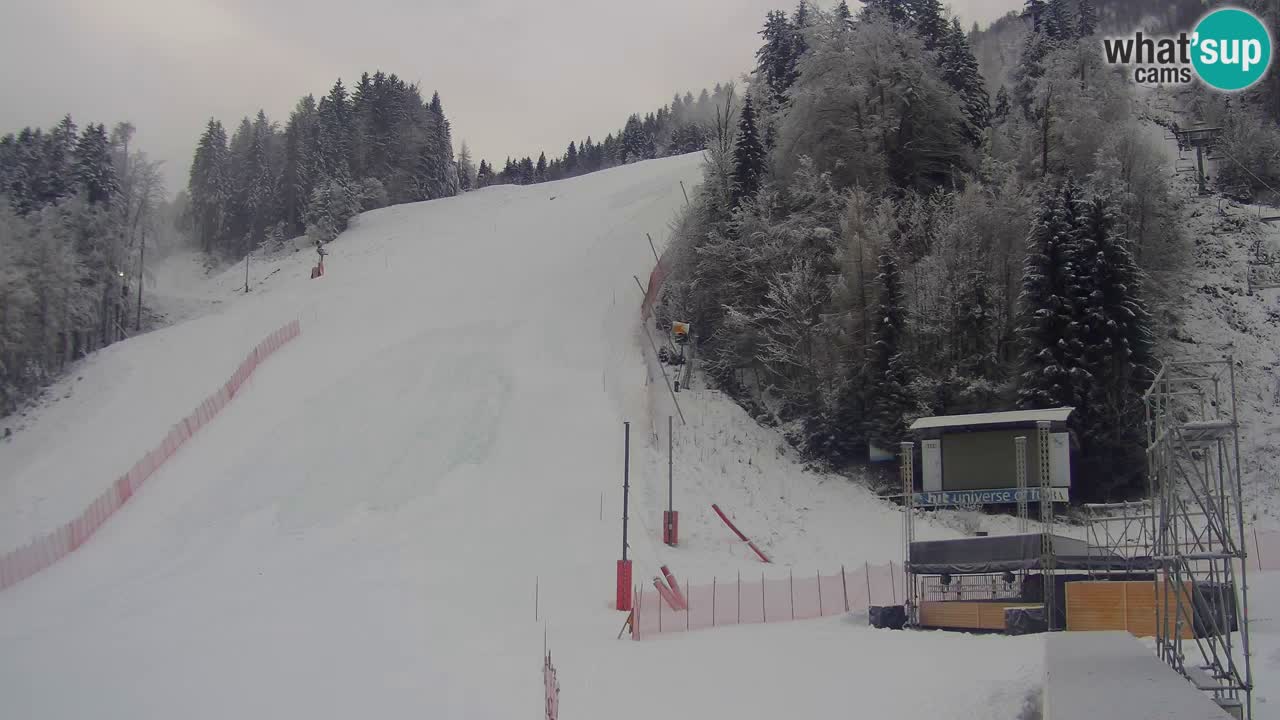 Podkoren / Kranjska Gora – Ziel Riesenslalom