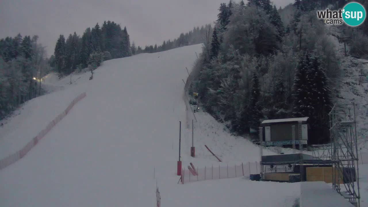 Podkoren / Kranjska Gora –  Meta Slalom gigante