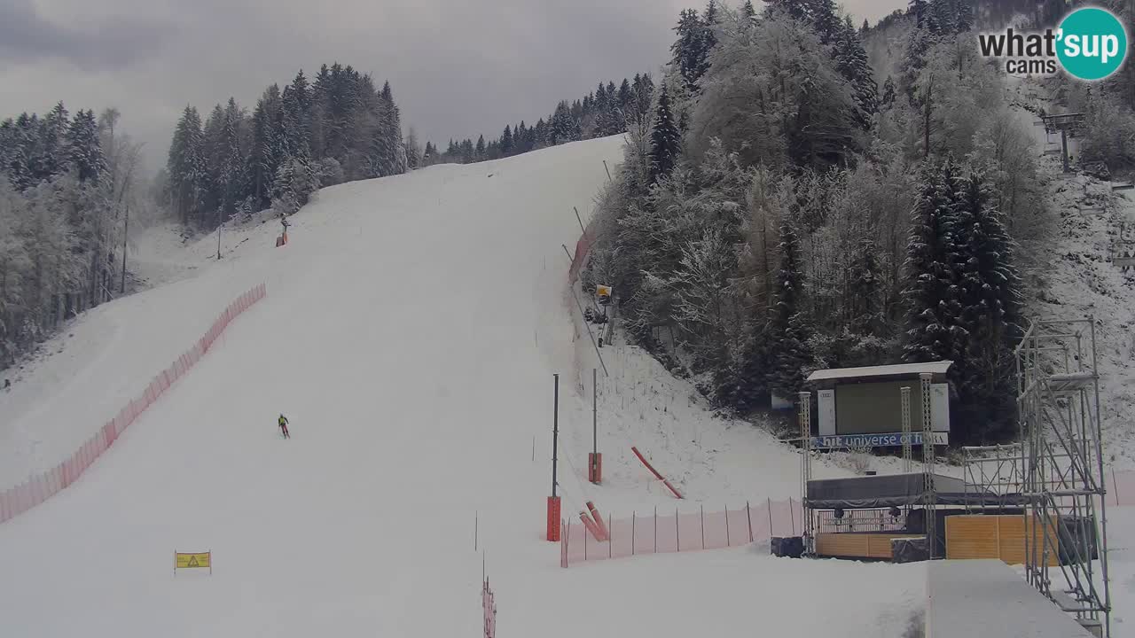 Podkoren / Kranjska Gora – Arrivo slalom gigante