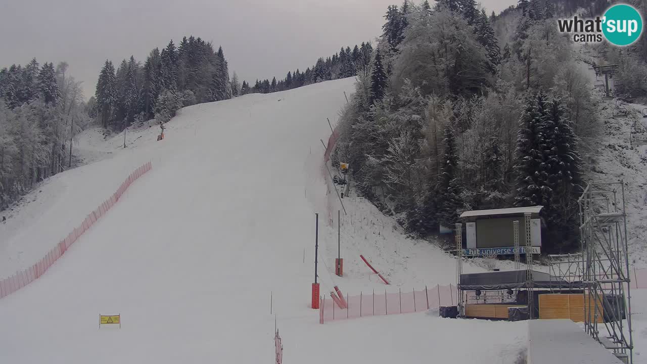 Podkoren Webcam Kranjska Gora | Finish of Giant slalom