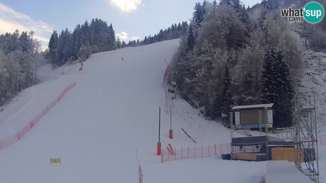 PODKOREN Kamera | Smučišče Podkoren – Kranjska Gora v ŽIVO