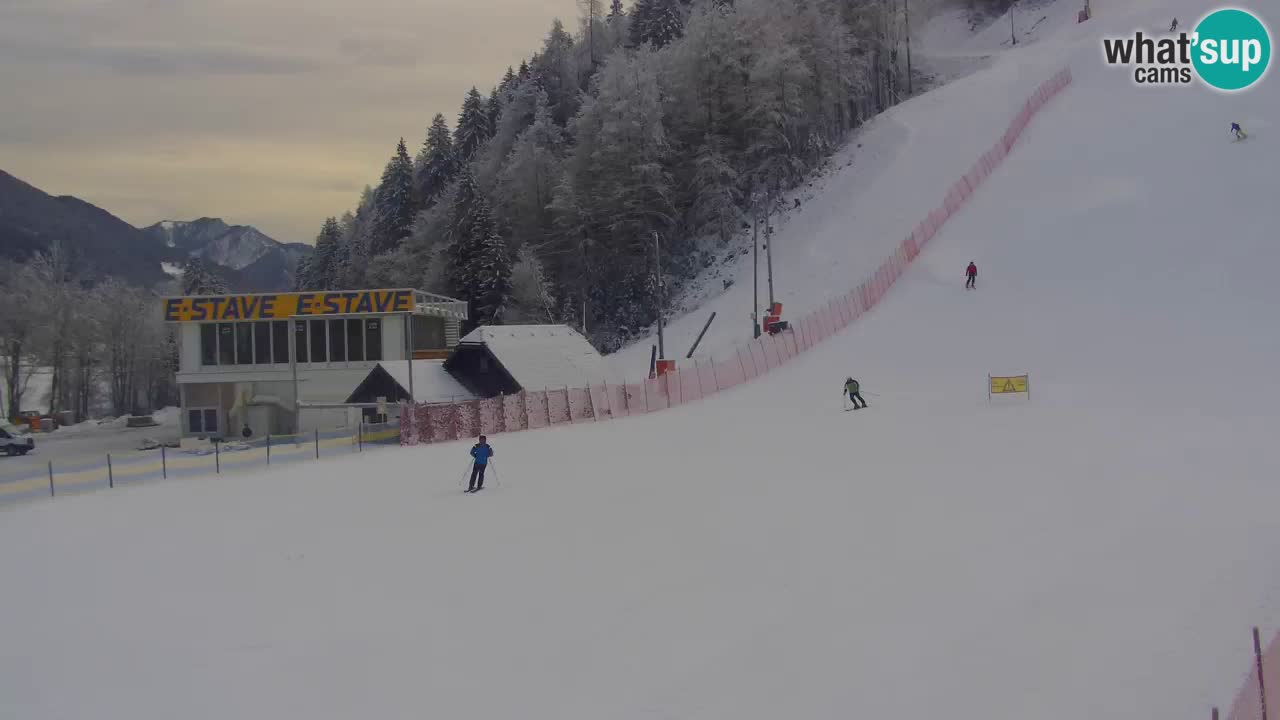 Podkoren / Kranjska Gora –  Meta Slalom gigante