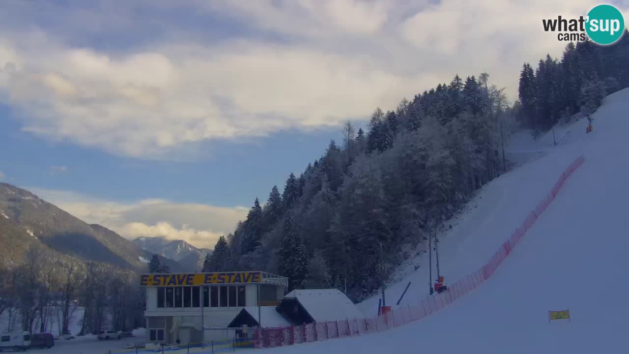 Podkoren Webcam Kranjska Gora | Finish of Giant slalom