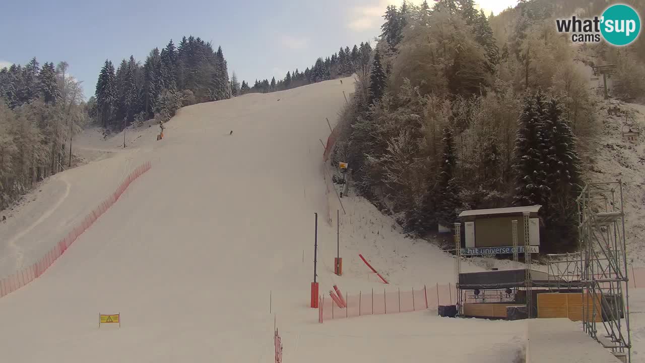 Podkoren / Kranjska Gora – Arrivo slalom gigante