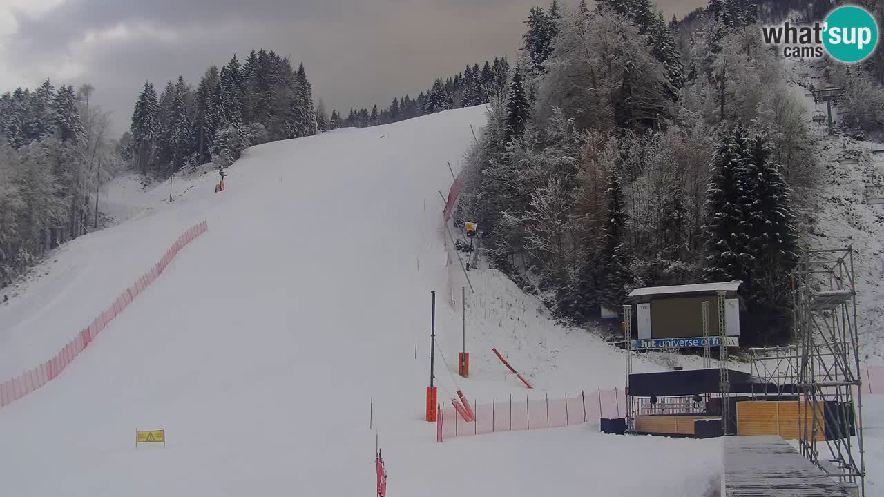 Podkoren / Kranjska Gora – Arrivee slalom géant