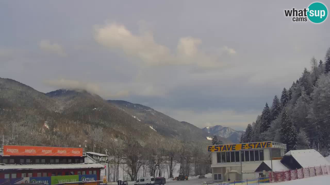 Podkoren Webcam Kranjska Gora | Finish of Giant slalom