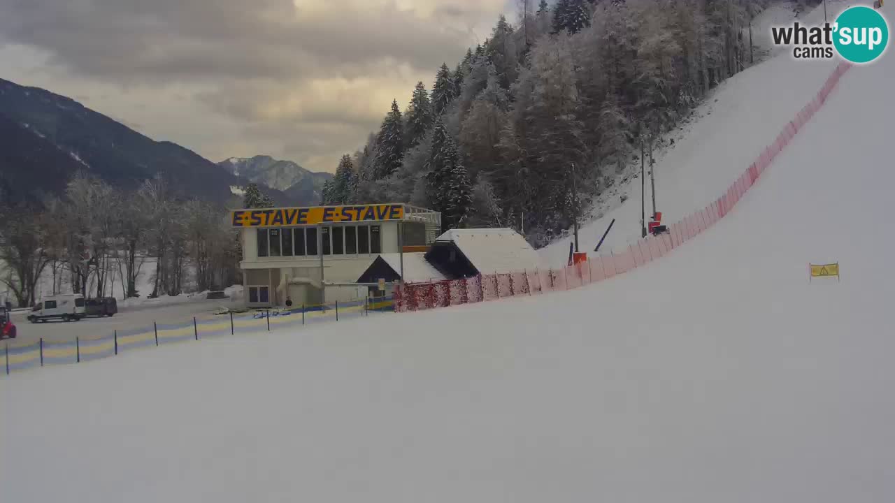 Podkoren / Kranjska Gora – Arrivo slalom gigante