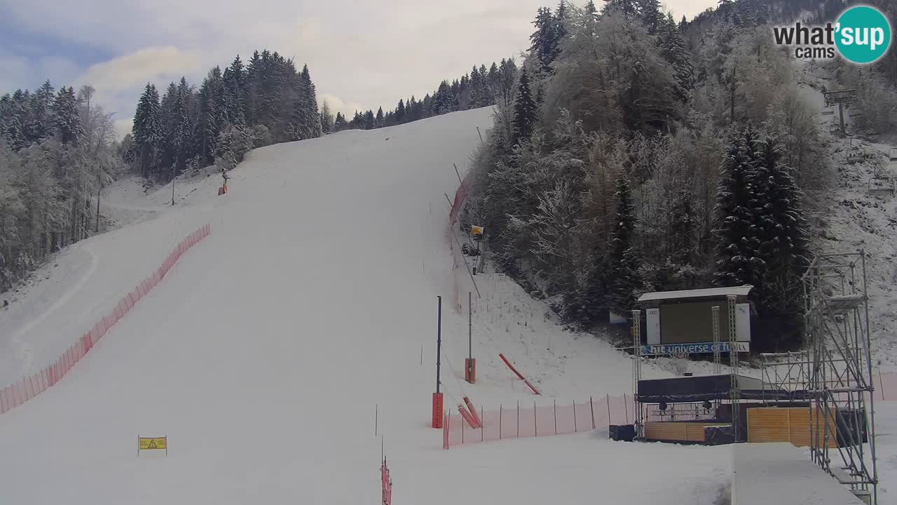 Podkoren / Kranjska Gora – Arrivee slalom géant