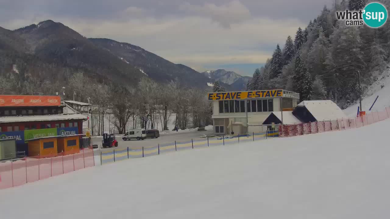 Podkoren / Kranjska Gora –  Meta Slalom gigante