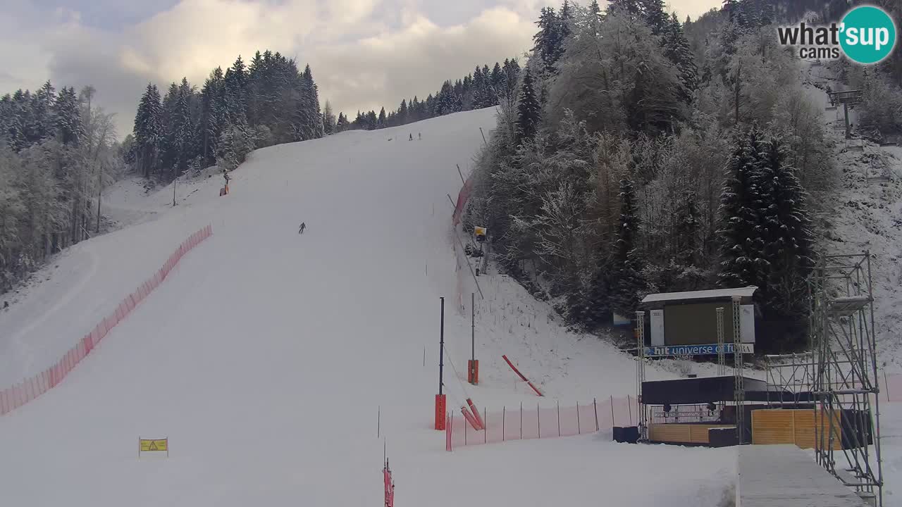 PODKOREN Kamera | Smučišče Podkoren – Kranjska Gora v ŽIVO