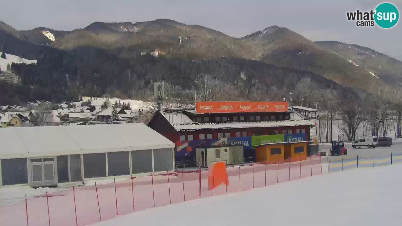 Podkoren Webcam Kranjska Gora | Finish of Giant slalom